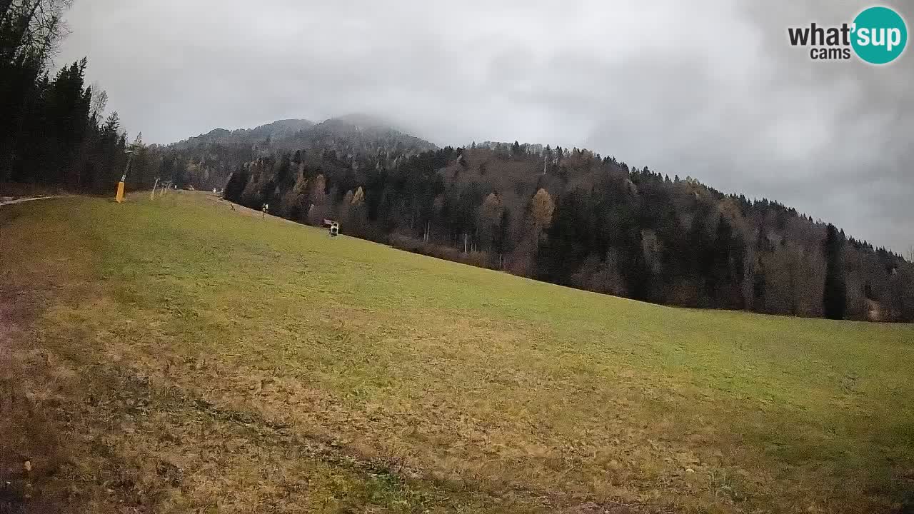 Kranjska Gora SKIJANJE | Brsnina