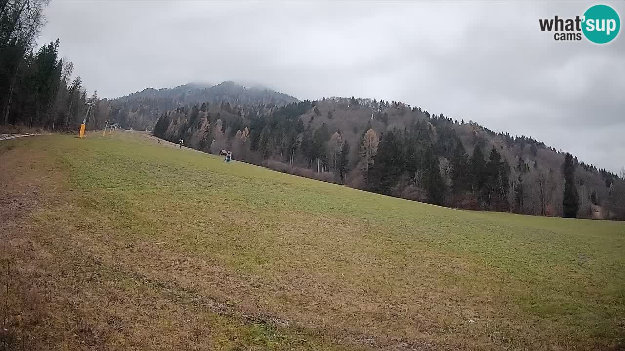 RTC Skigebiet Kranjska Gora | Brsnina