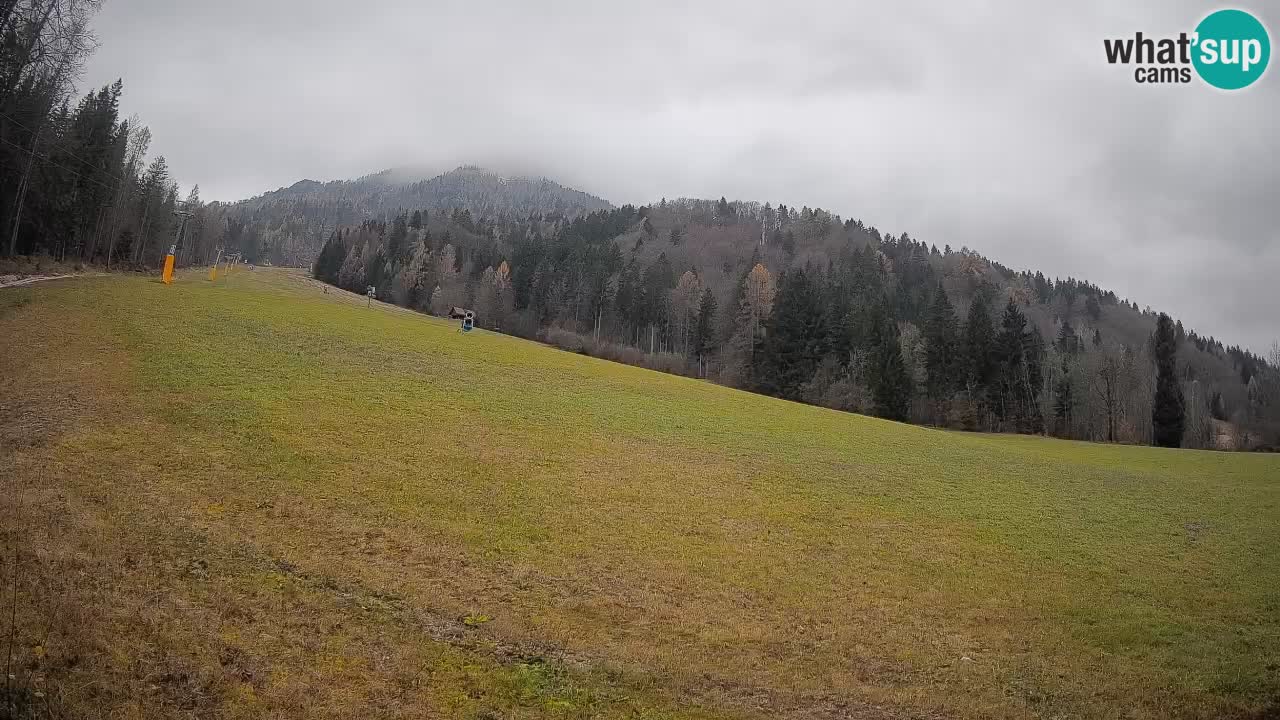 Esquí Kranjska Gora | Brsnina