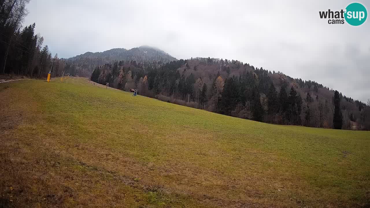 Kranjska Gora SKIJANJE | Brsnina