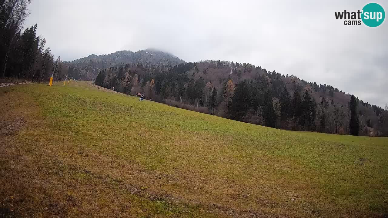Ski Kranjska Gora | Brsnina
