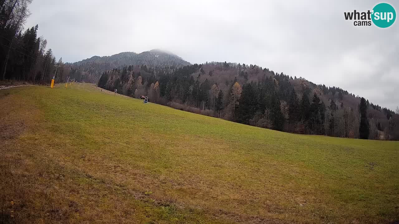 RTC Kranjska Gora | Brsnina
