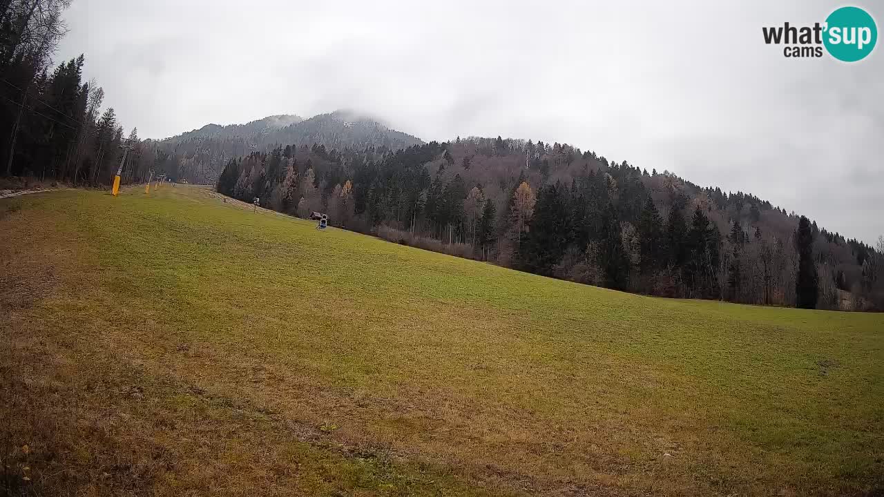 Comprensorio sciistico Kranjska Gora | Brsnina