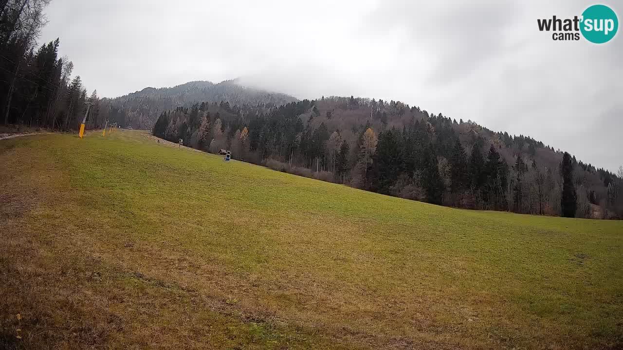 RTC Kranjska Gora | Brsnina