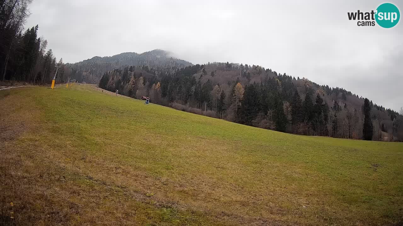 Comprensorio sciistico Kranjska Gora | Brsnina