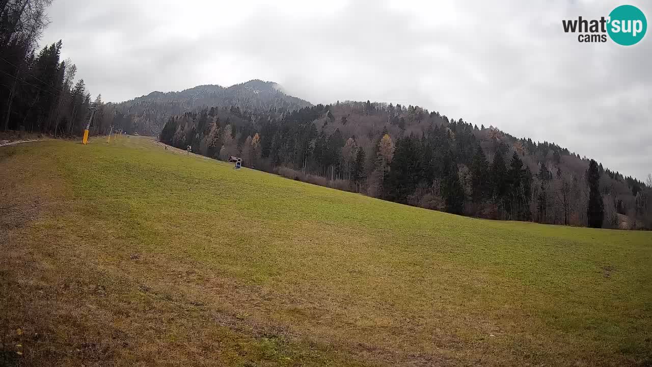 Esquí Kranjska Gora | Brsnina