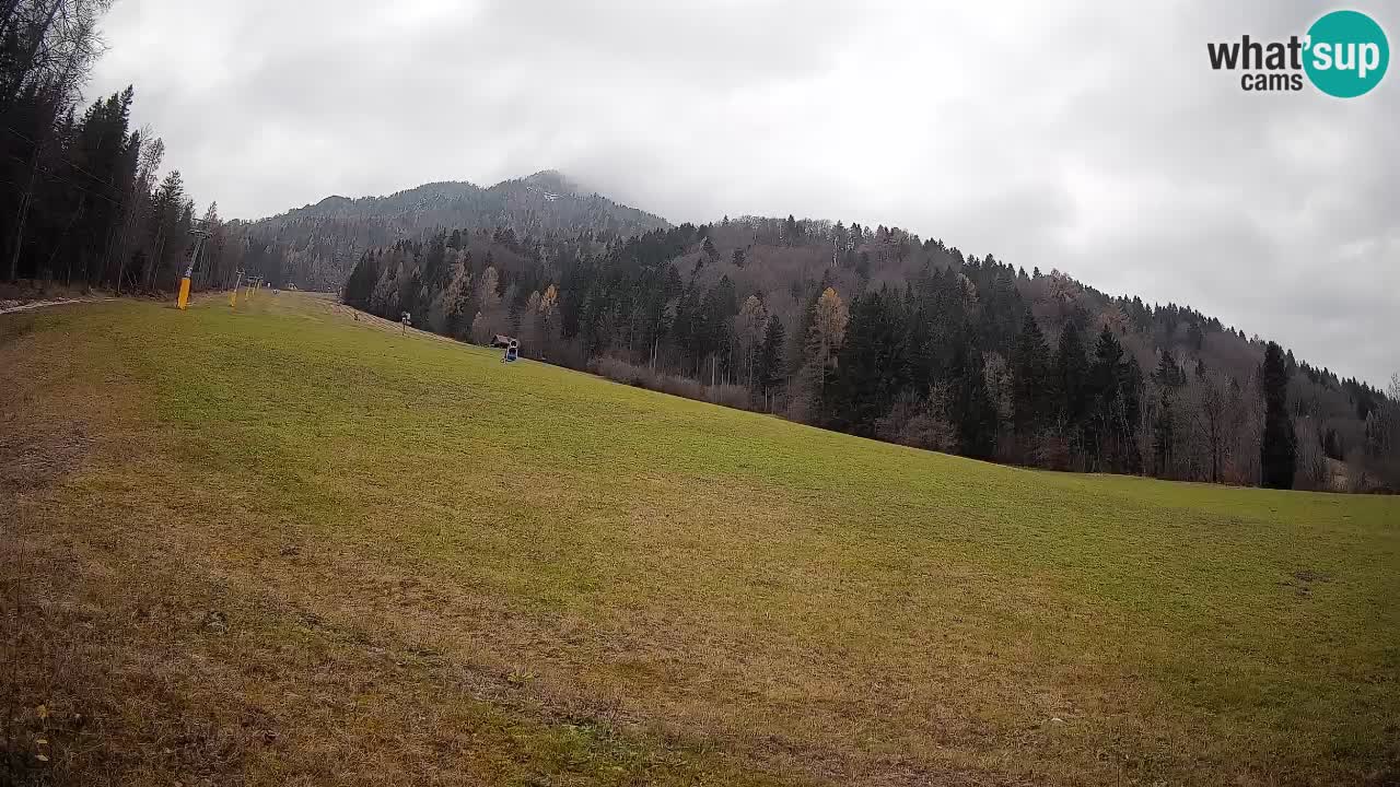 RTC Kranjska Gora | Brsnina