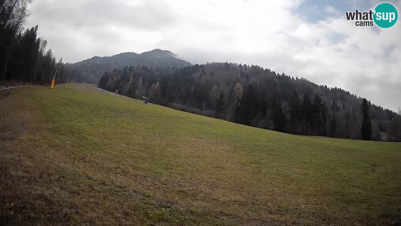 Ski Kranjska Gora | Brsnina