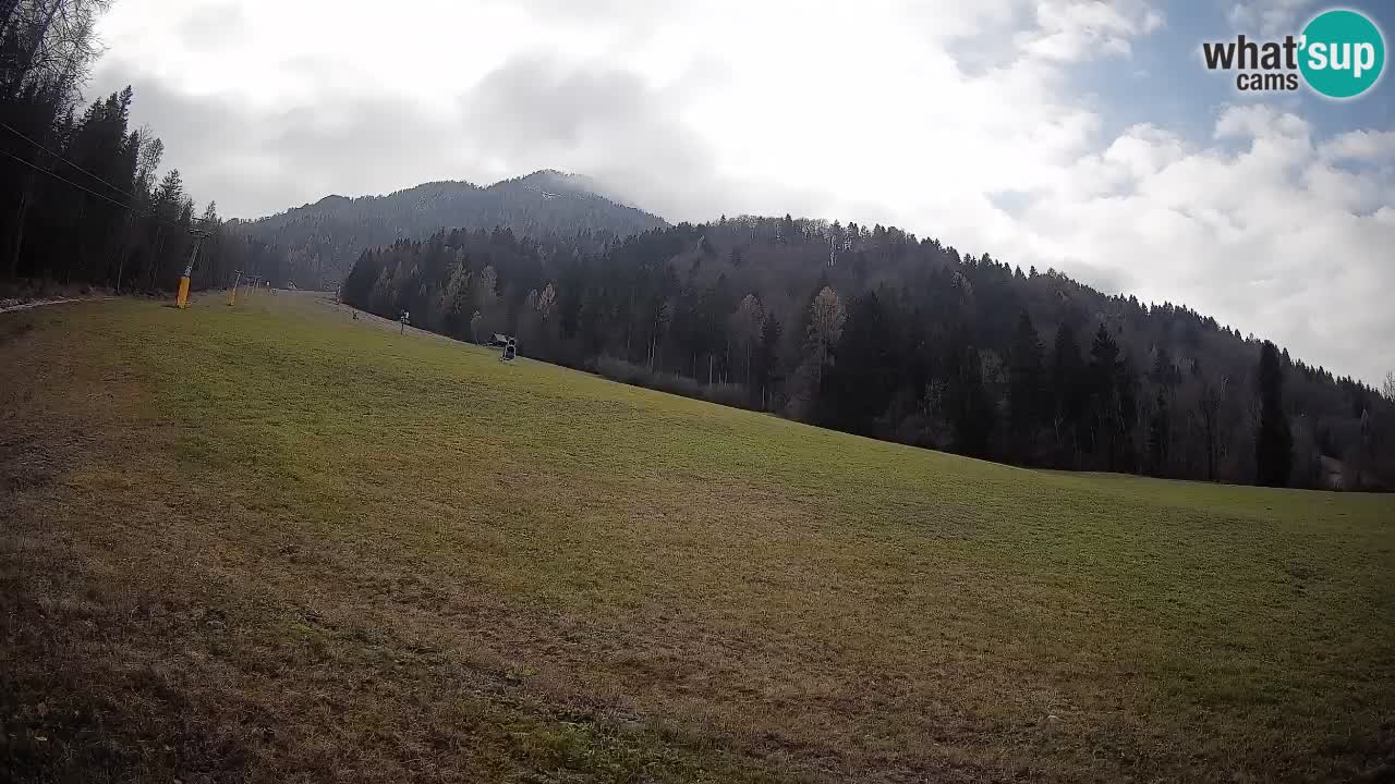 Ski Kranjska Gora | Brsnina
