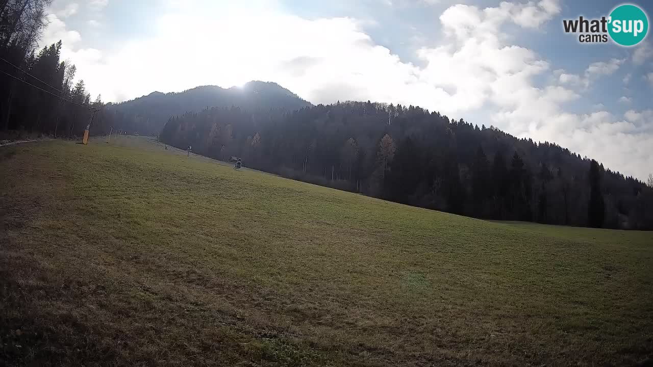 Ski Kranjska Gora | Brsnina