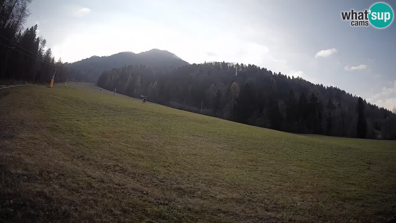 RTC Skigebiet Kranjska Gora | Brsnina