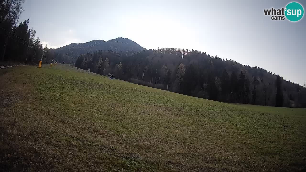 RTC Kranjska Gora | Brsnina