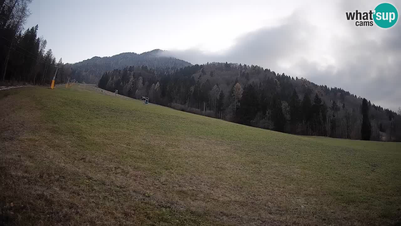 RTC Skigebiet Kranjska Gora | Brsnina