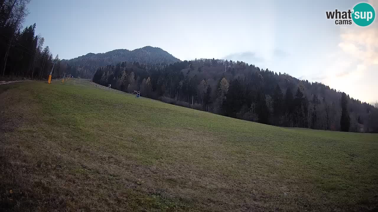 RTC Kranjska Gora | Brsnina