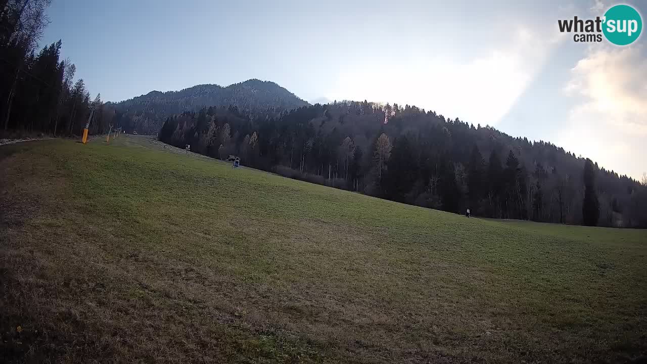 Ski Kranjska Gora | Brsnina