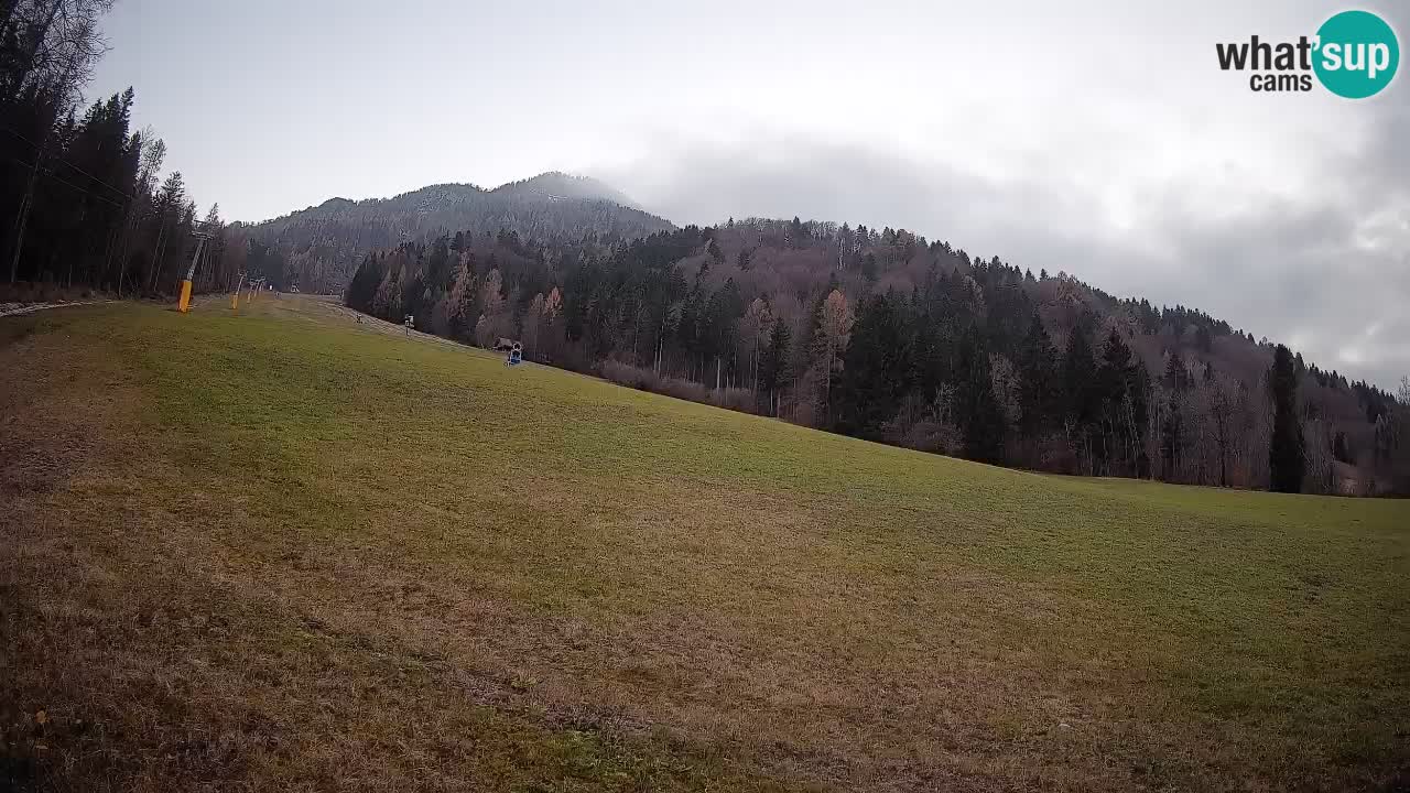 Kranjska Gora Station de ski | Brsnina