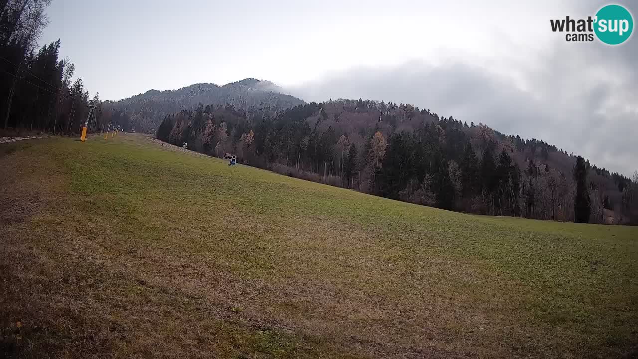 RTC Skigebiet Kranjska Gora | Brsnina