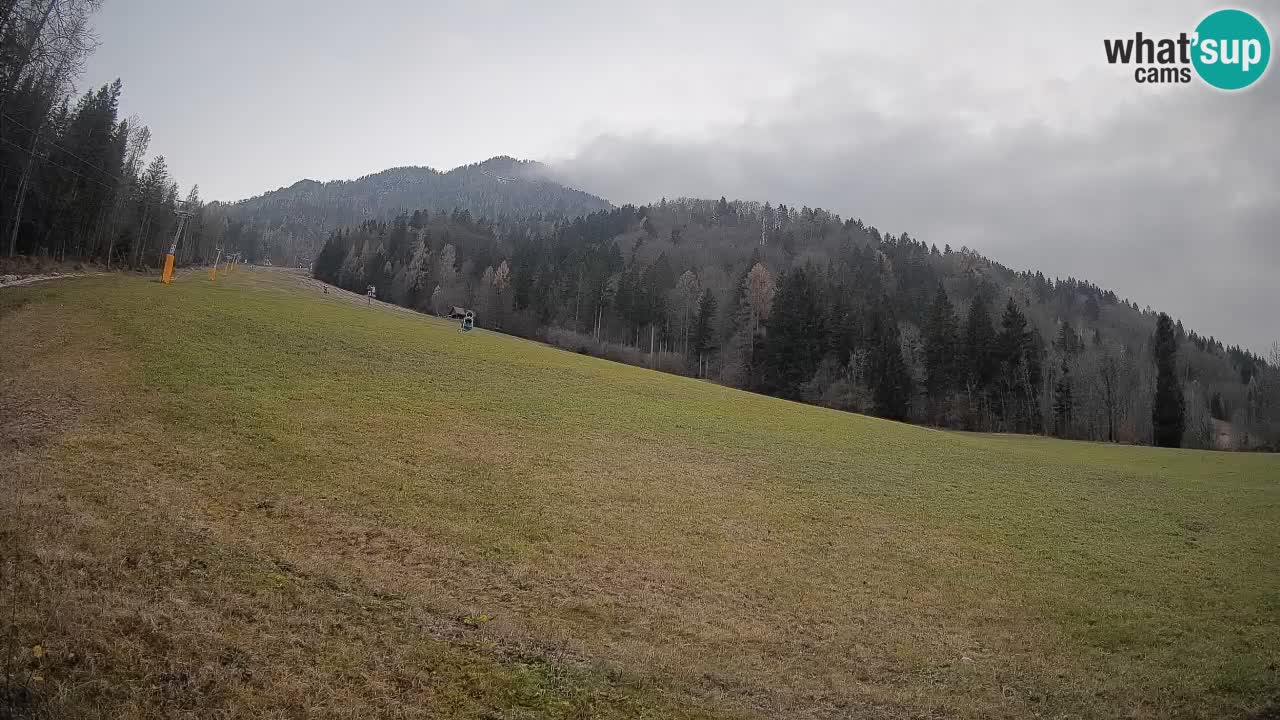 Comprensorio sciistico Kranjska Gora | Brsnina