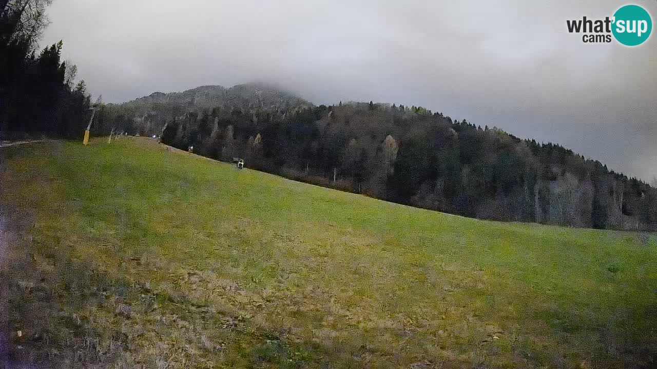 Kranjska Gora Station de ski | Brsnina