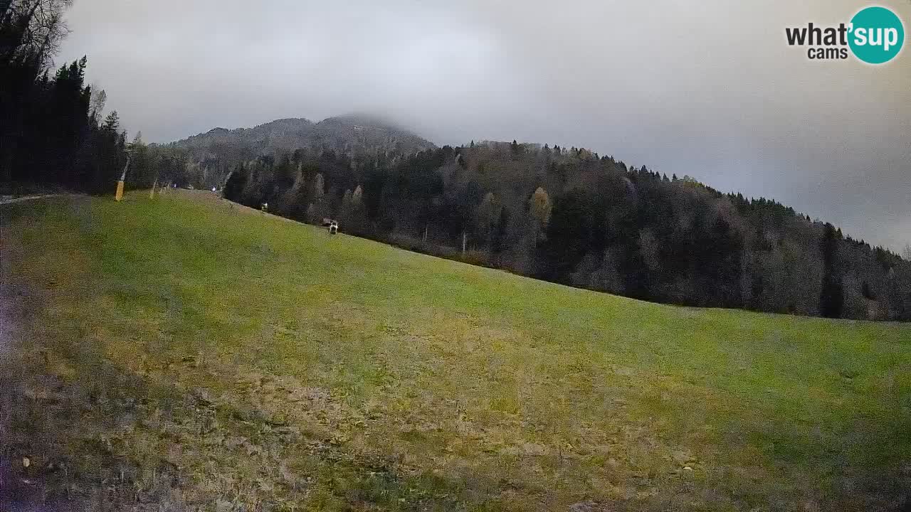Esquí Kranjska Gora | Brsnina