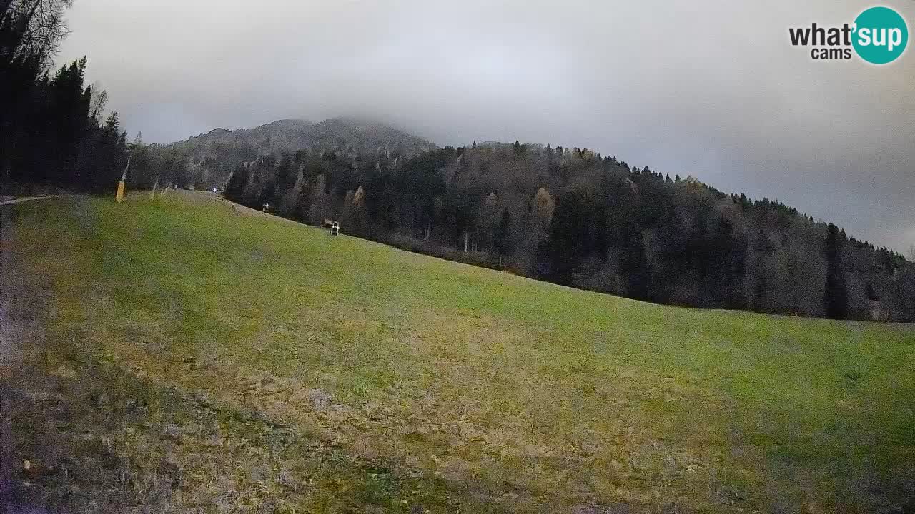 RTC Skigebiet Kranjska Gora | Brsnina