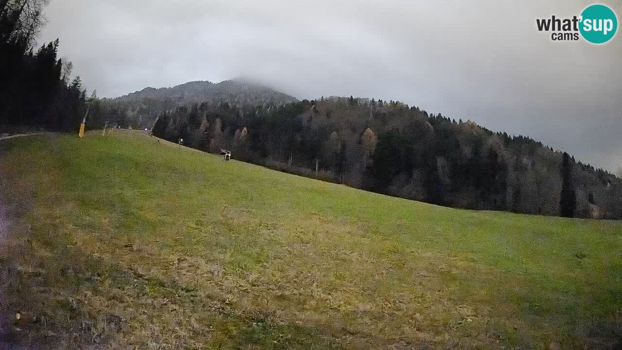 Kranjska Gora SKIJANJE | Brsnina