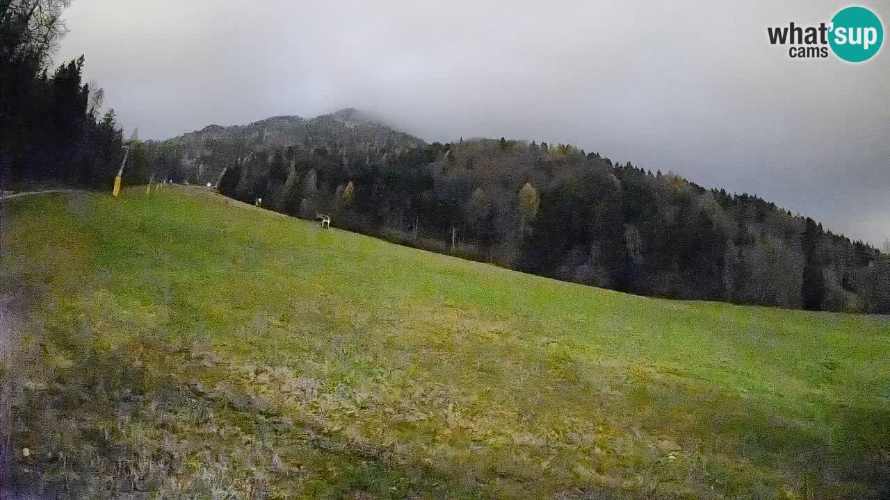 Esquí Kranjska Gora | Brsnina