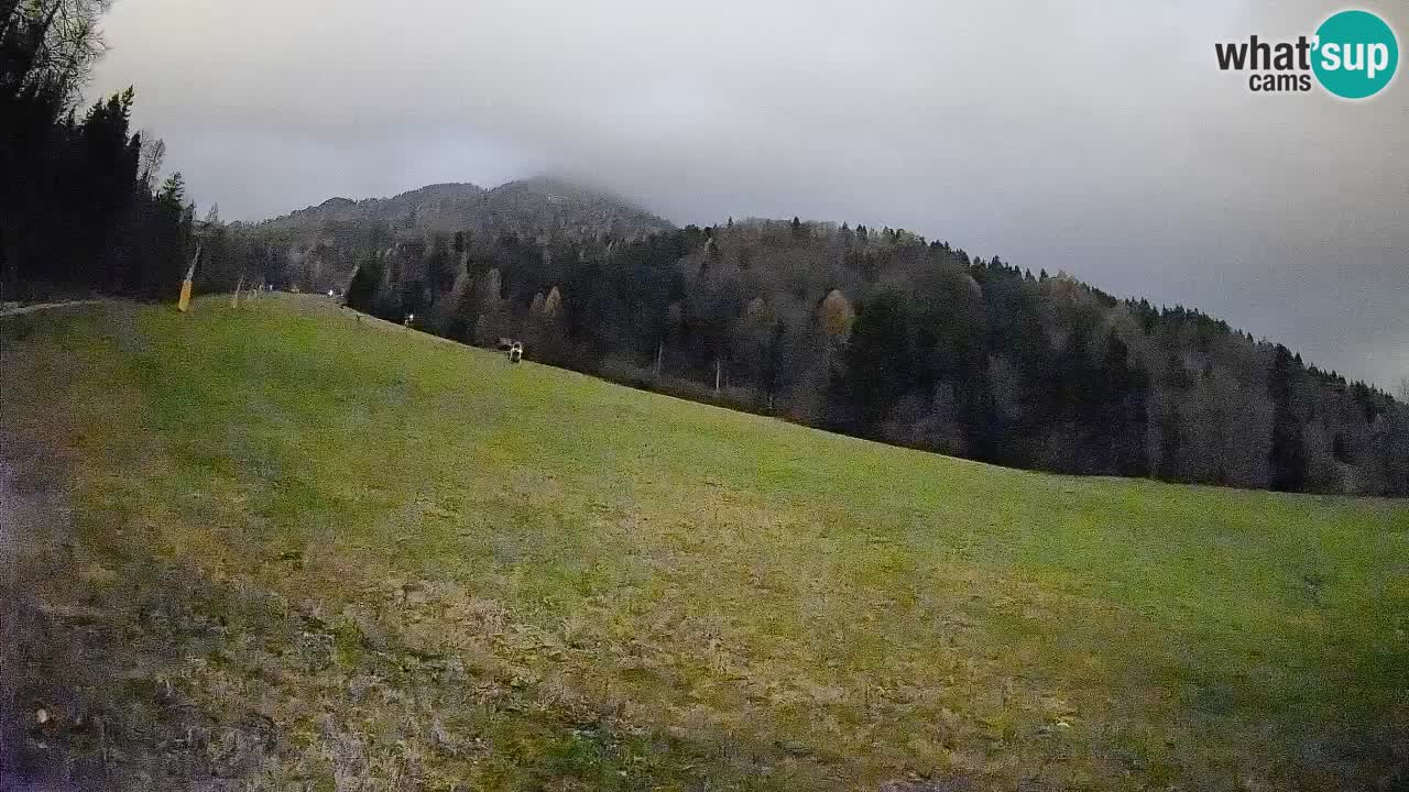 Kranjska Gora Station de ski | Brsnina