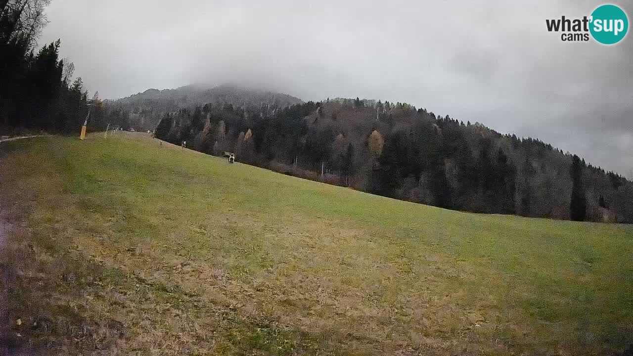 Kranjska Gora SKIJANJE | Brsnina