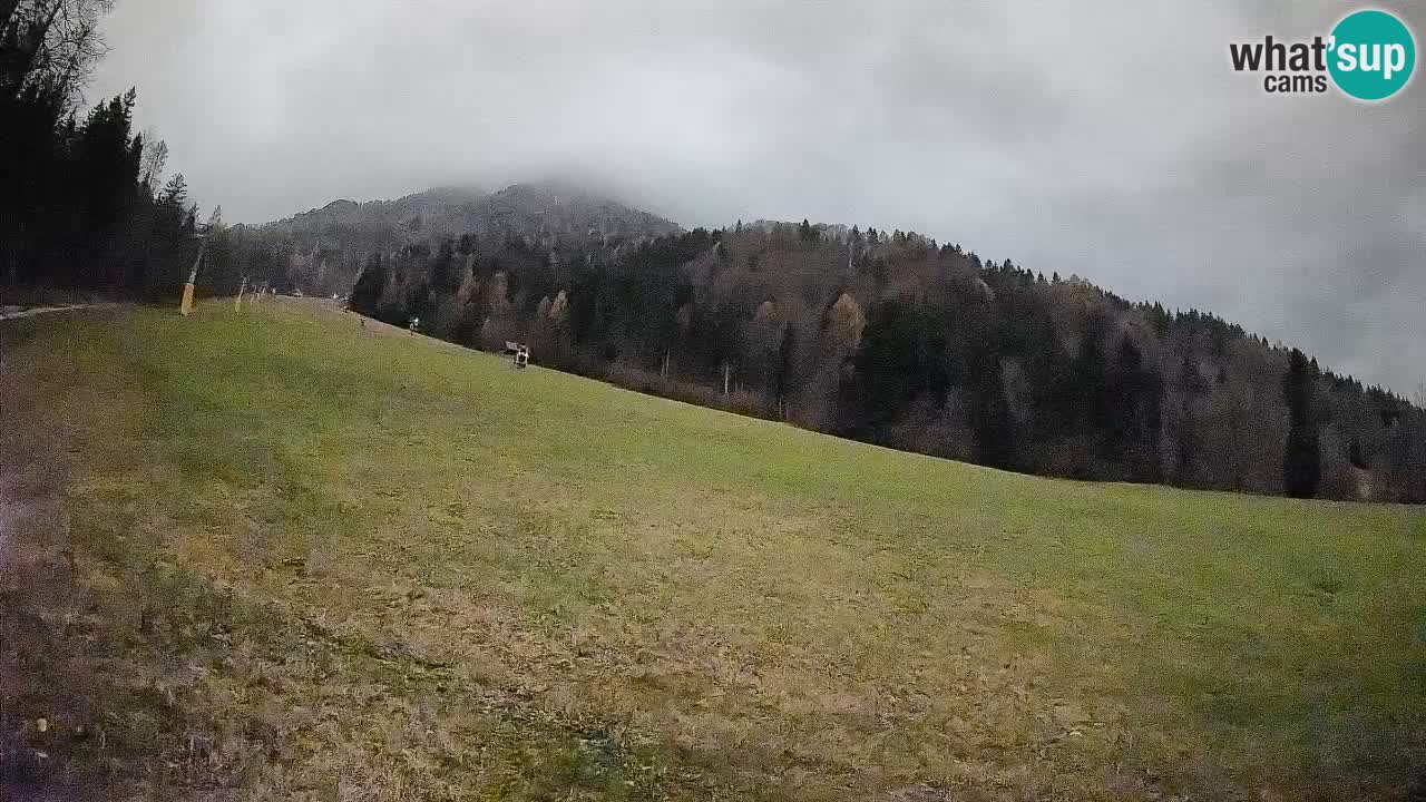 RTC Kranjska Gora | Brsnina