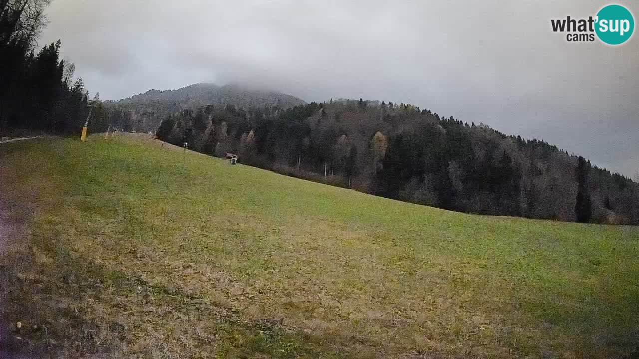 RTC Skigebiet Kranjska Gora | Brsnina