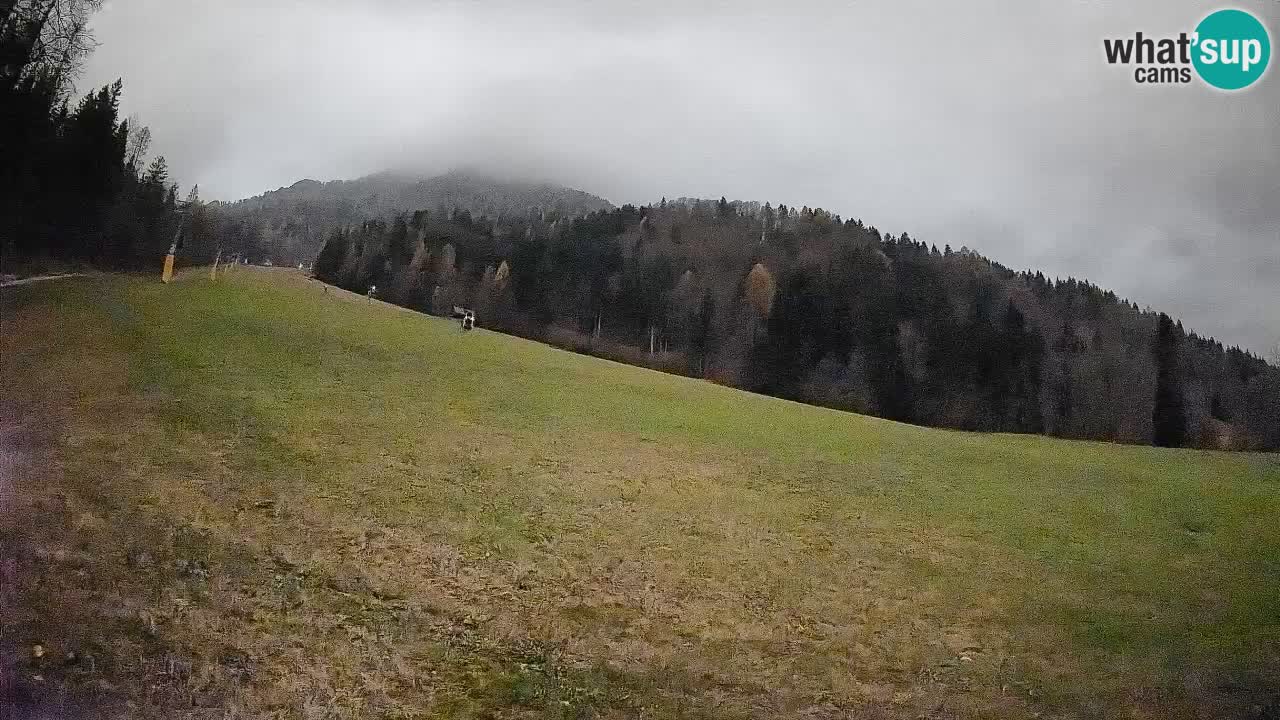 Comprensorio sciistico Kranjska Gora | Brsnina