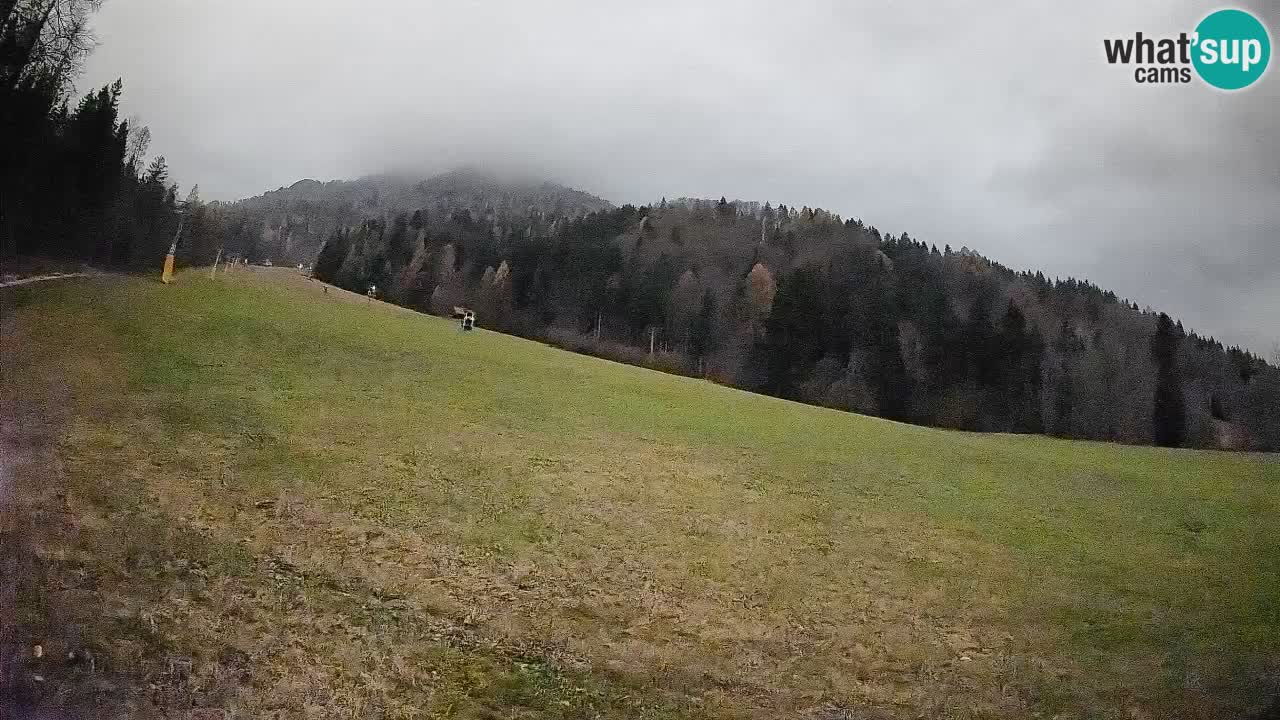 Esquí Kranjska Gora | Brsnina