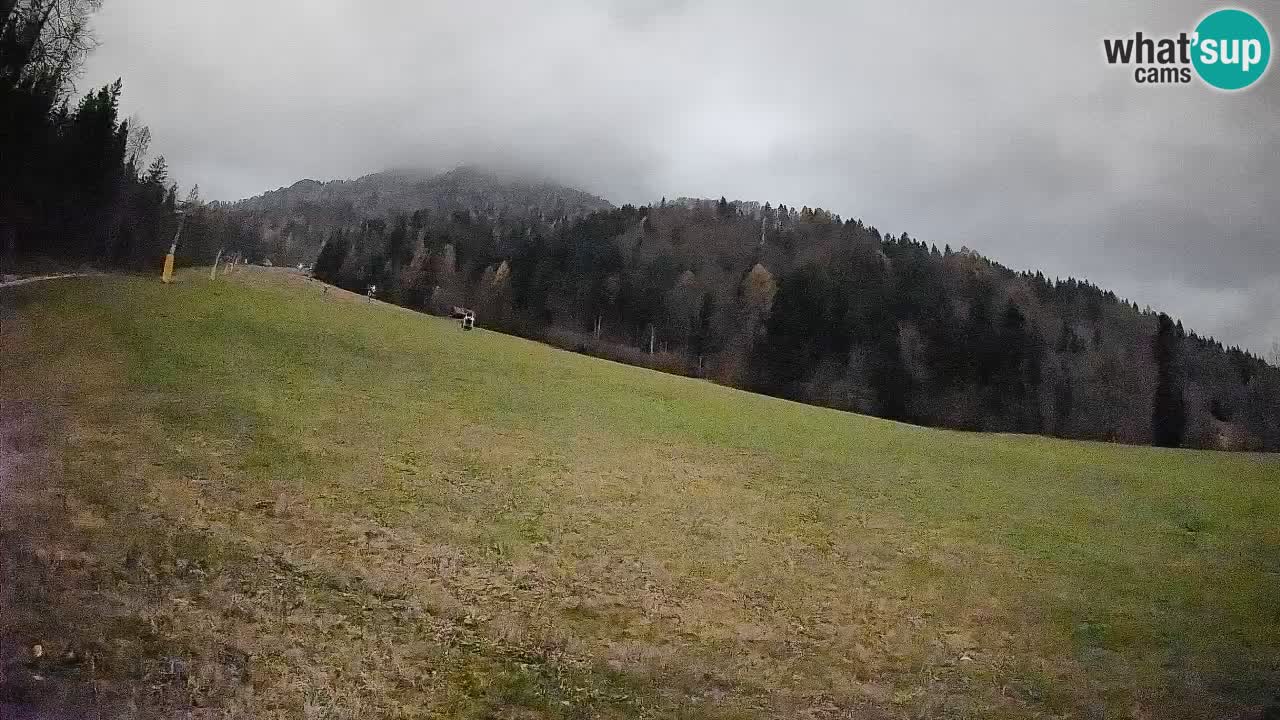 RTC Skigebiet Kranjska Gora | Brsnina