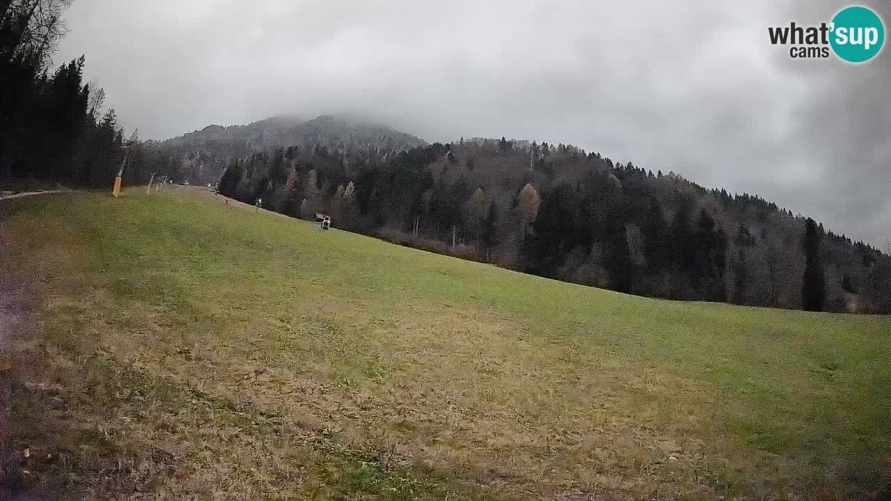 Kranjska Gora SKIJANJE | Brsnina