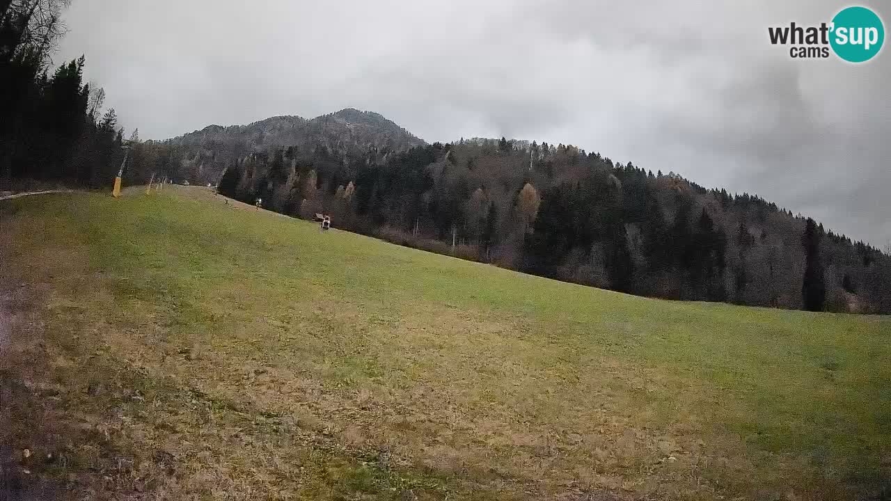 Comprensorio sciistico Kranjska Gora | Brsnina