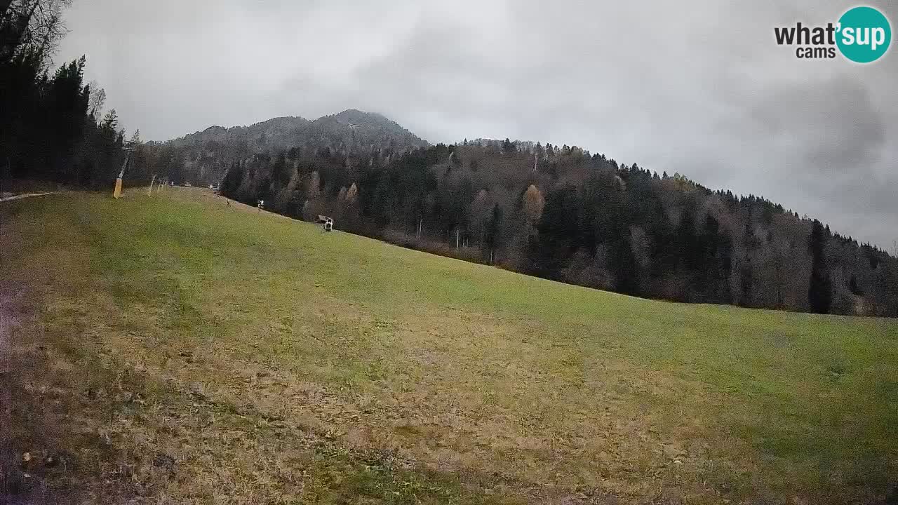 Kranjska Gora SKIJANJE | Brsnina