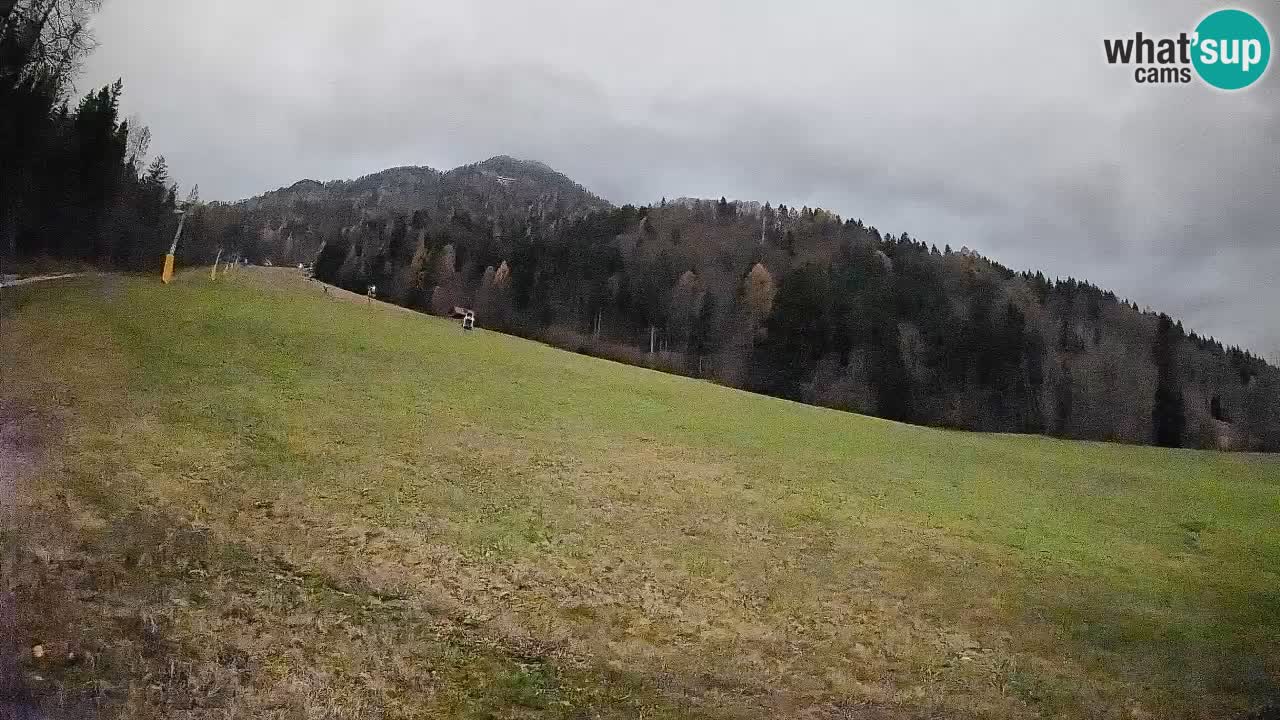 Esquí Kranjska Gora | Brsnina