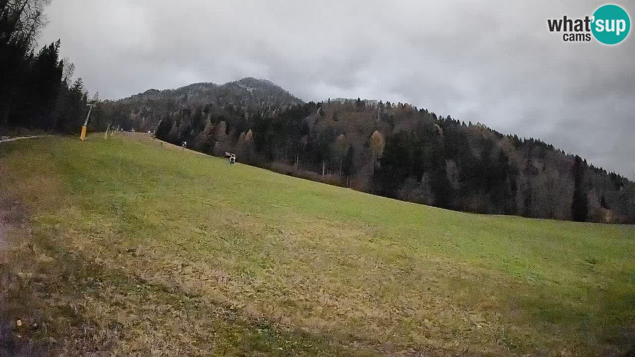 Kranjska Gora SKIJANJE | Brsnina