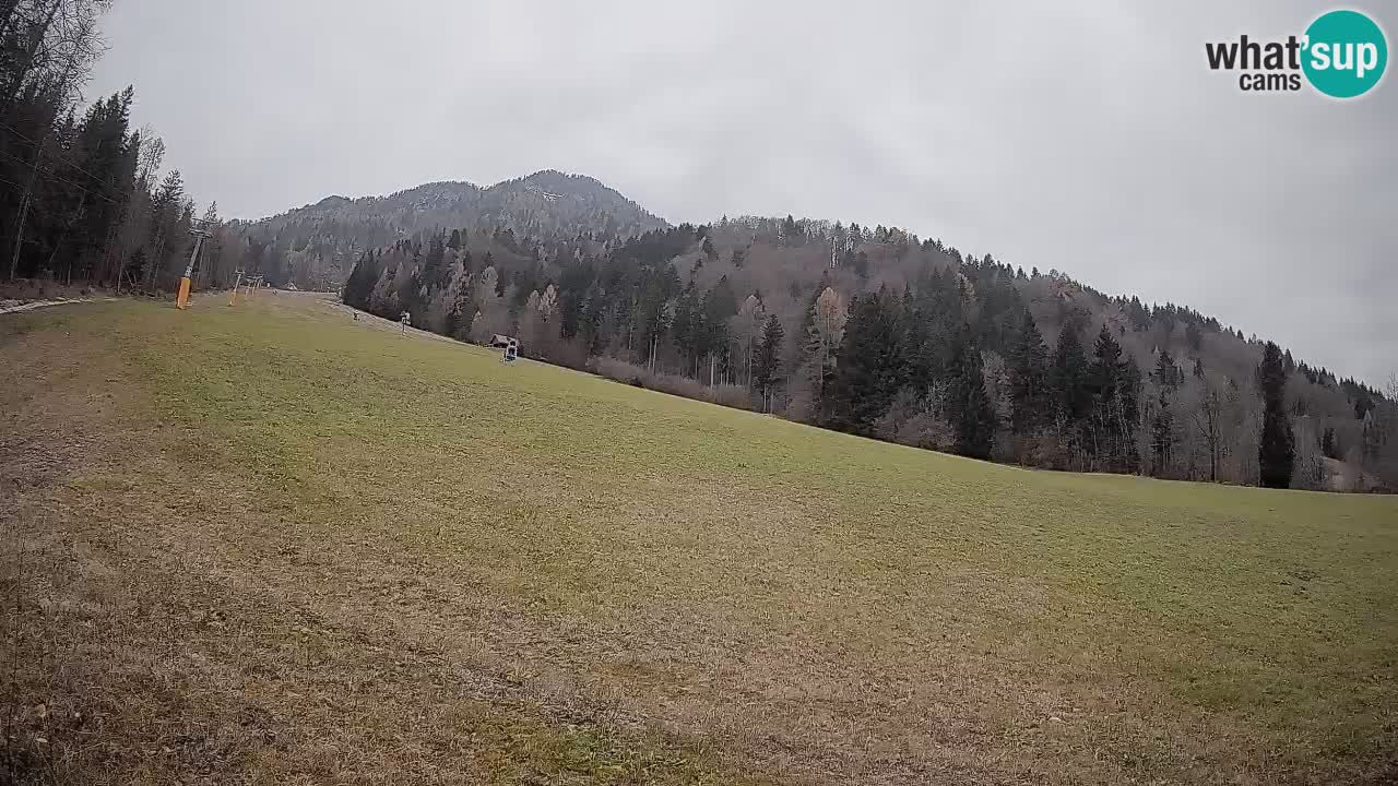 Kranjska Gora SKIJANJE | Brsnina