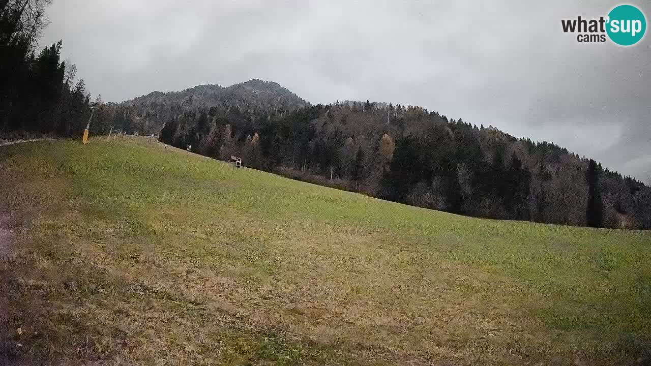 RTC Kranjska Gora | Brsnina
