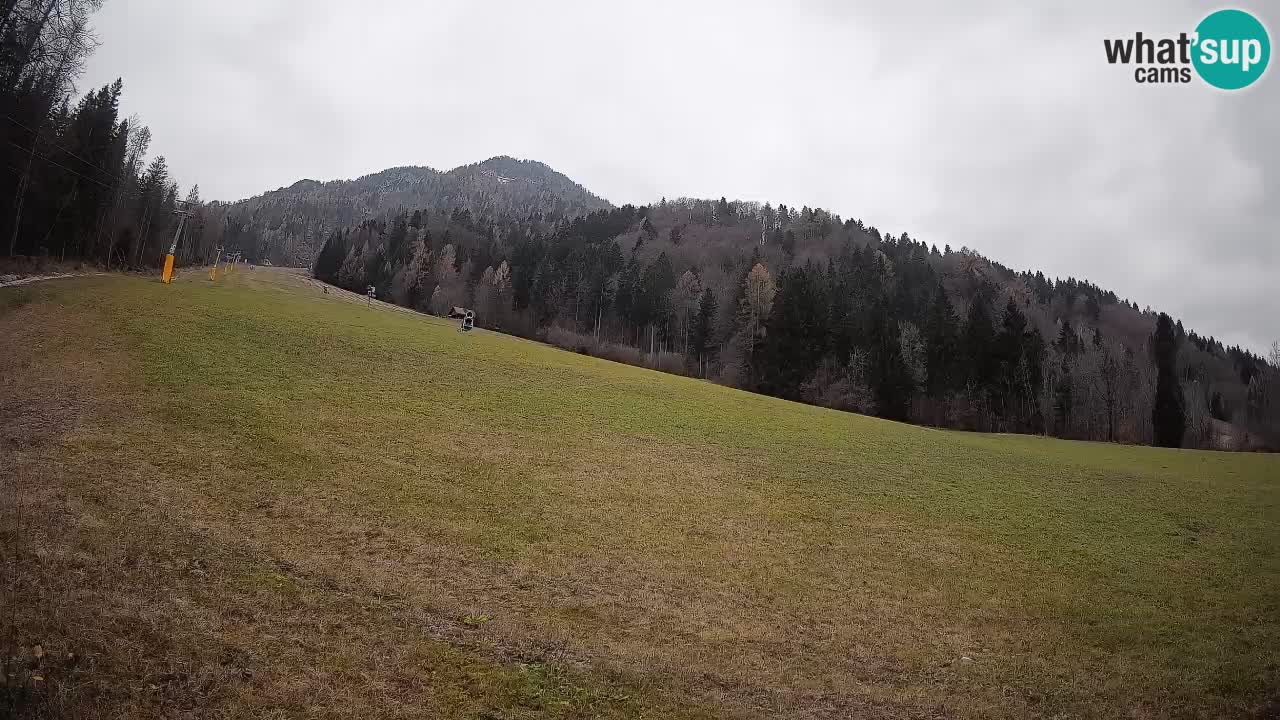 RTC Kranjska Gora | Brsnina