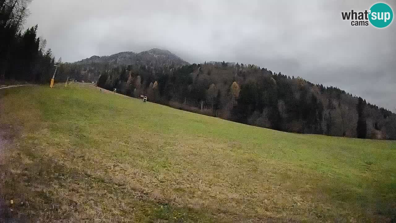 RTC Kranjska Gora | Brsnina