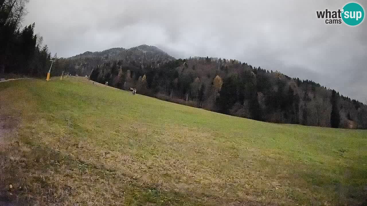 Ski Kranjska Gora | Brsnina