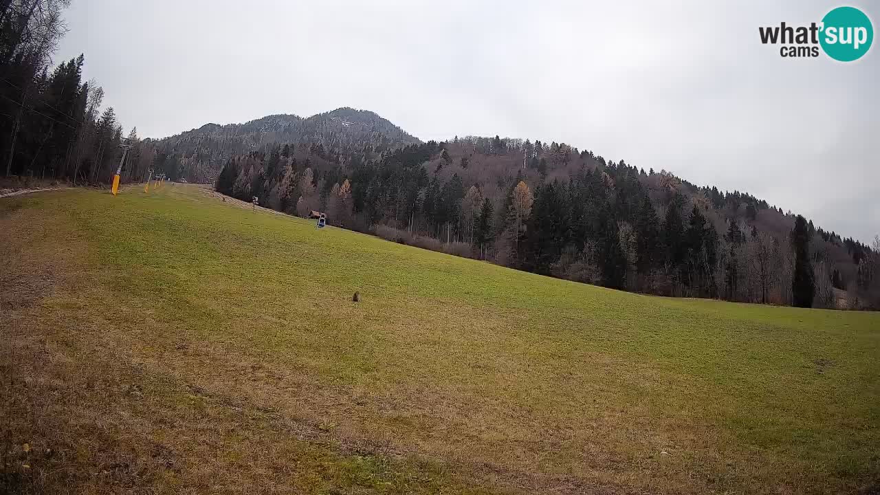 Kranjska Gora SKIJANJE | Brsnina