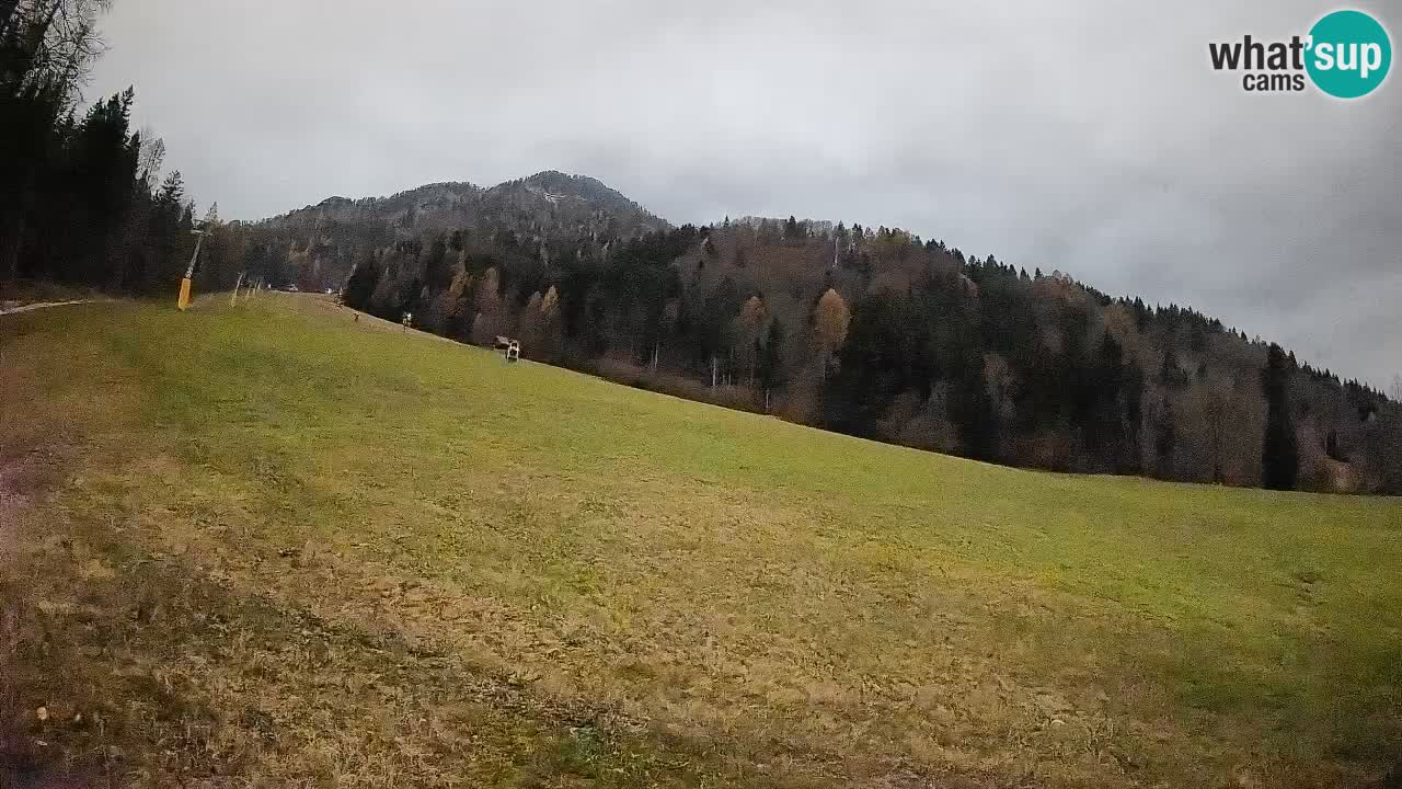 RTC Kranjska Gora | Brsnina