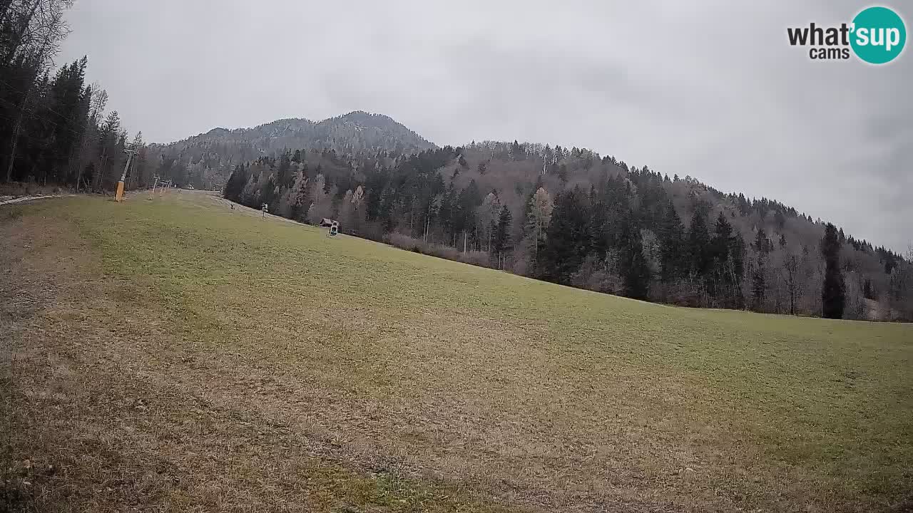 Kranjska Gora SKIJANJE | Brsnina