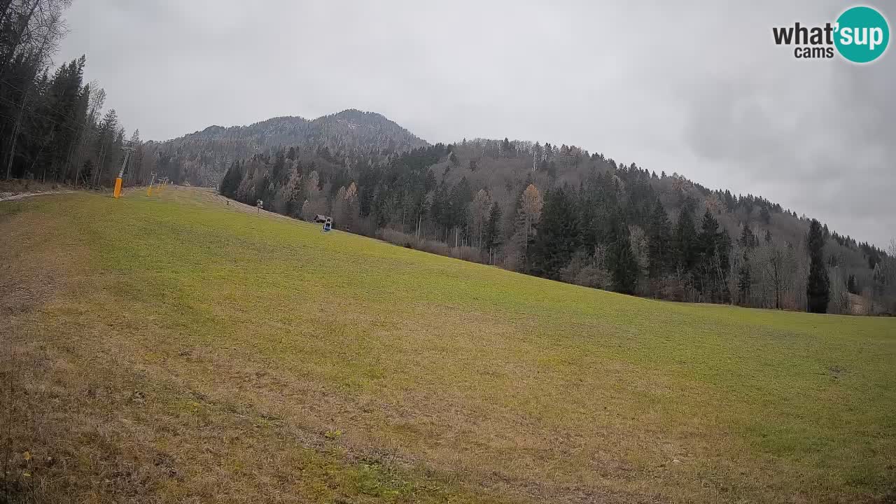 Kranjska Gora SKIJANJE | Brsnina