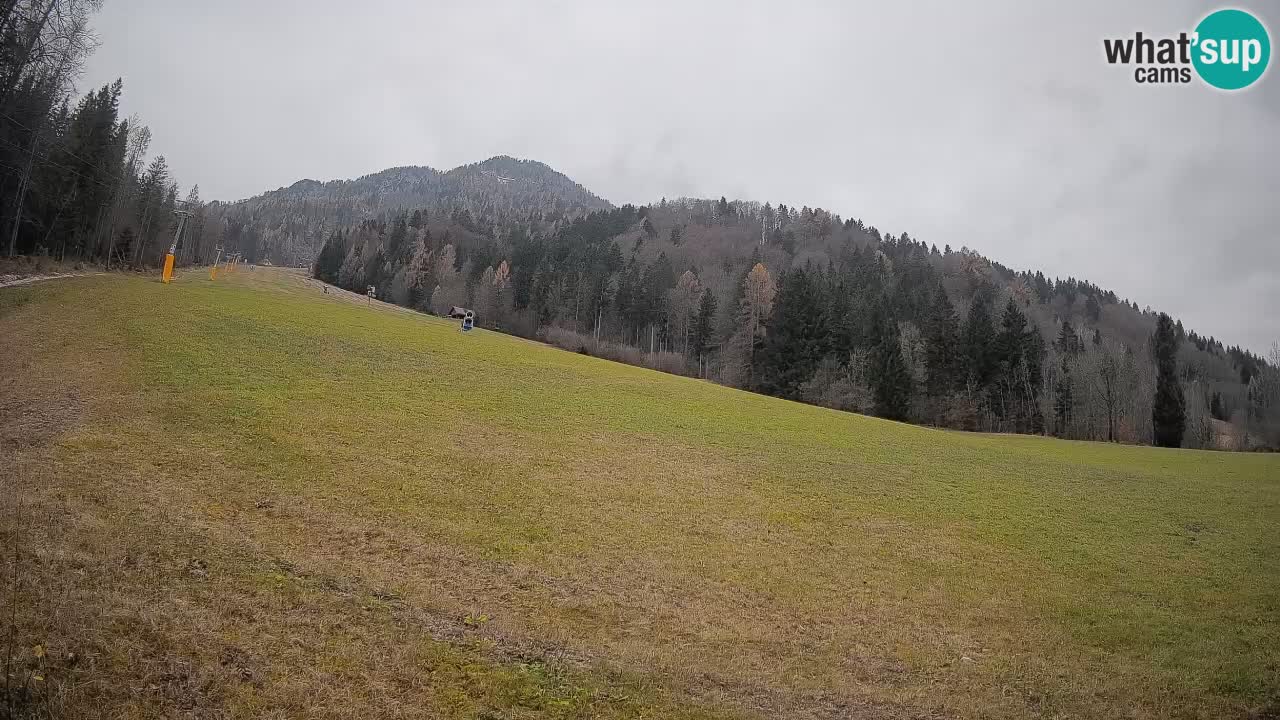 Esquí Kranjska Gora | Brsnina
