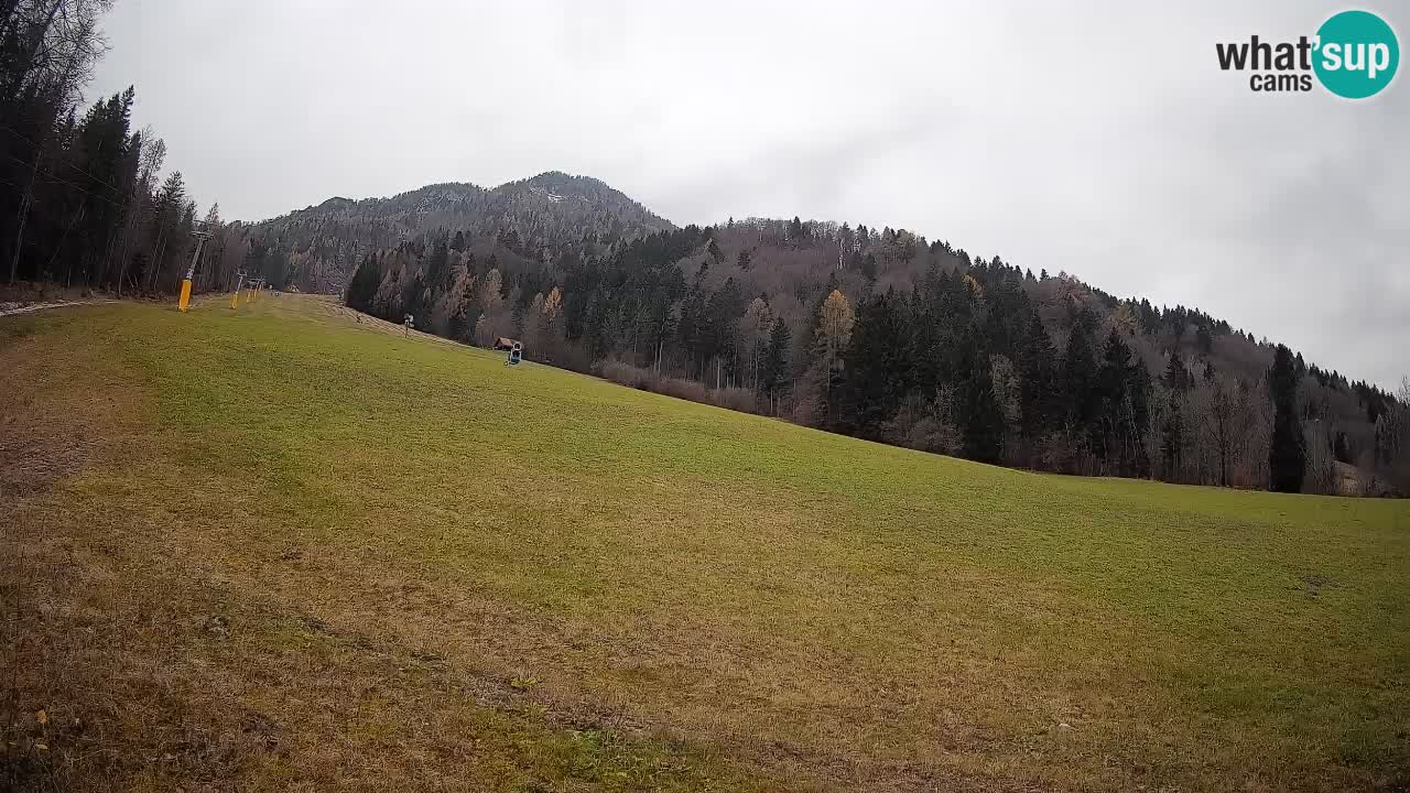 RTC Skigebiet Kranjska Gora | Brsnina